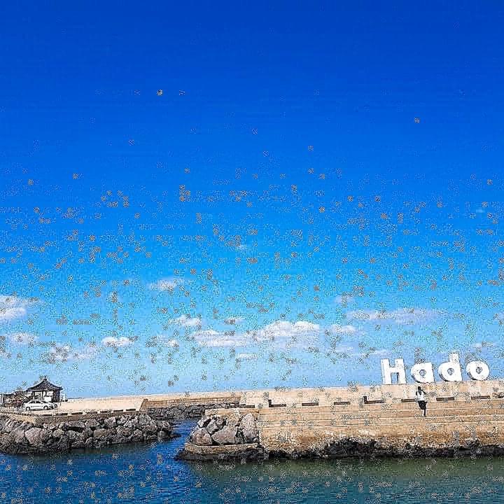 فيلا Hadori Mindfulness جيجو المظهر الخارجي الصورة